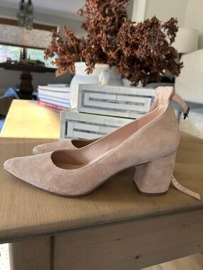 Nordstrom 27 Edit - Suede Ankle Strap Pointed-Toe Block Heel Pumps in Blush/Nude